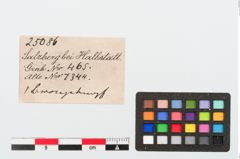 Etiketten zu Bronzewirtel (NHMW-PRAE-025086)